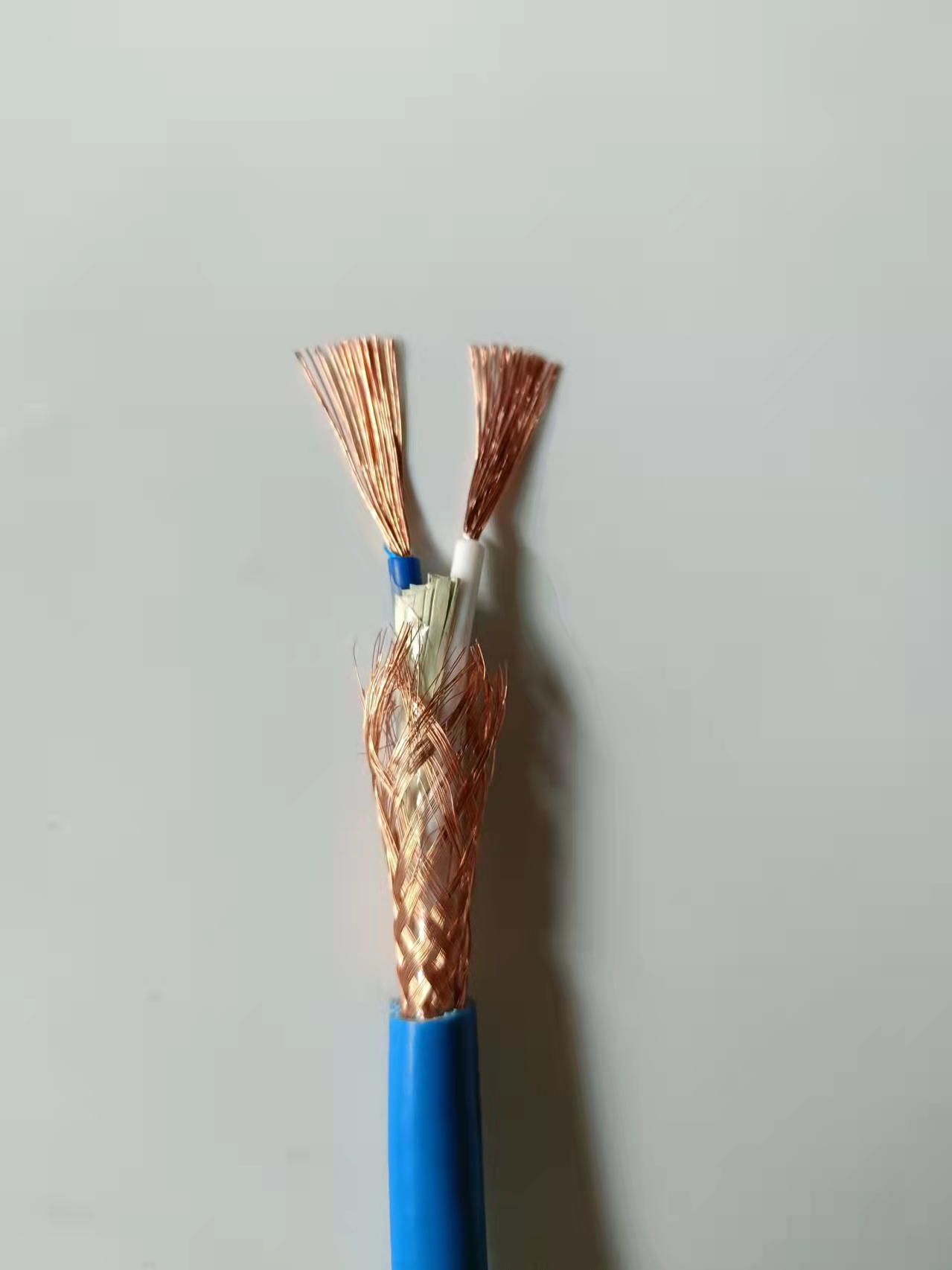 ������̖������|