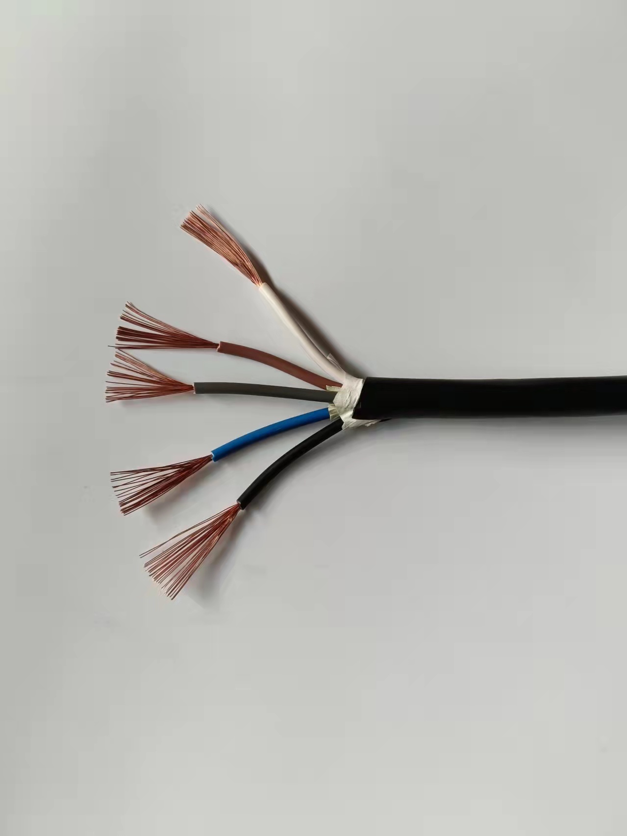 �����z�^�����o(h��)�������|